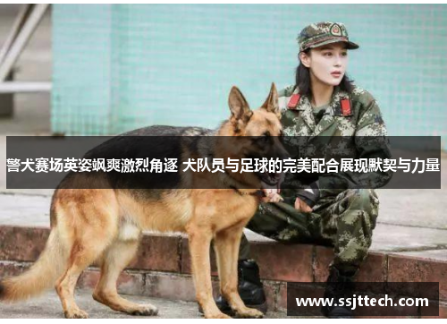 警犬赛场英姿飒爽激烈角逐 犬队员与足球的完美配合展现默契与力量